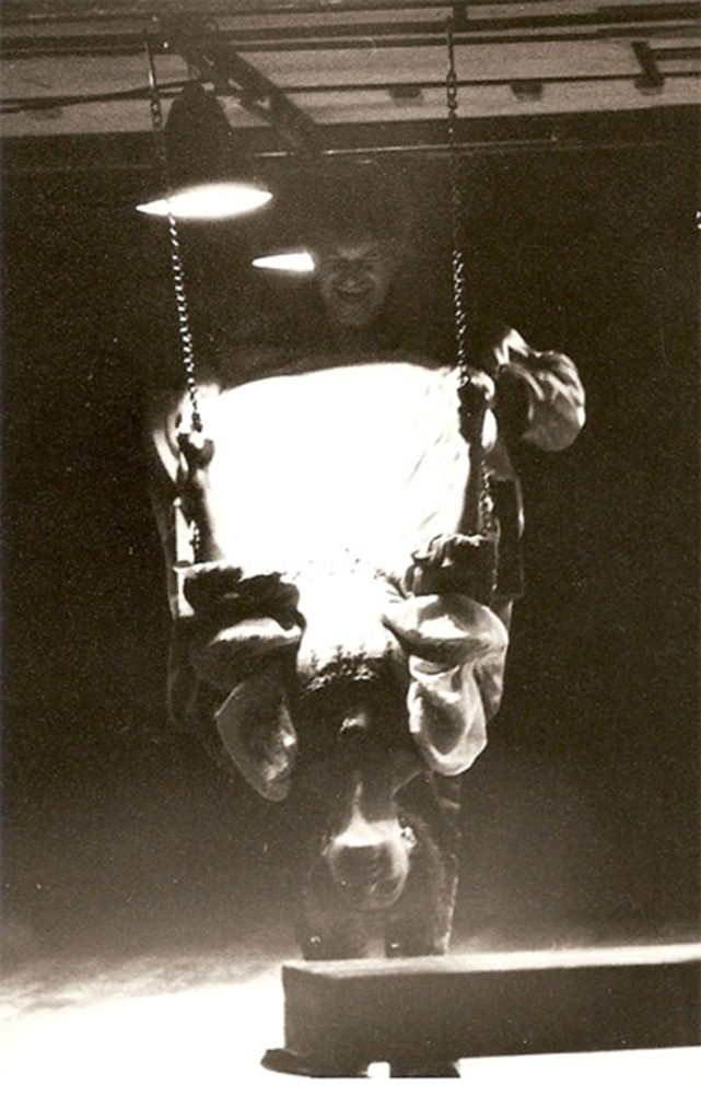 arden din kent, 1987 - mihai maniutiu