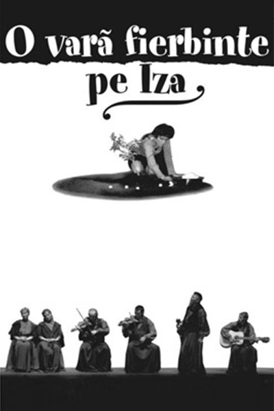 o vara fierbinte pe iza, 2007 - mihai maniutiu