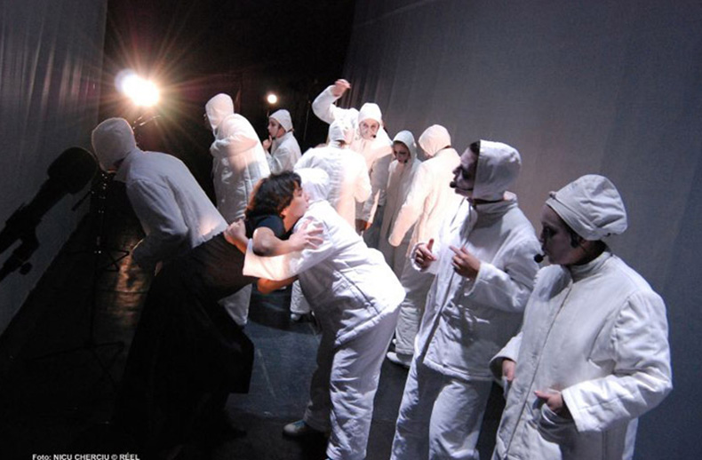 psihoza 448, 2008 - mihai maniutiu
