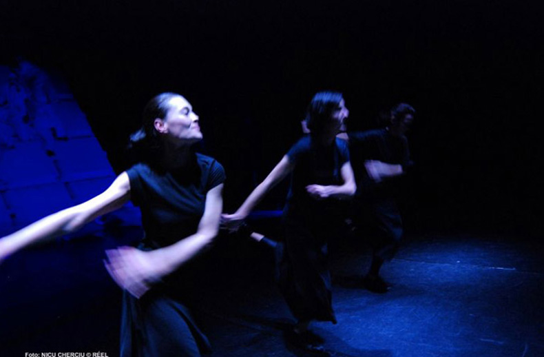 psihoza 448, 2008 - mihai maniutiu