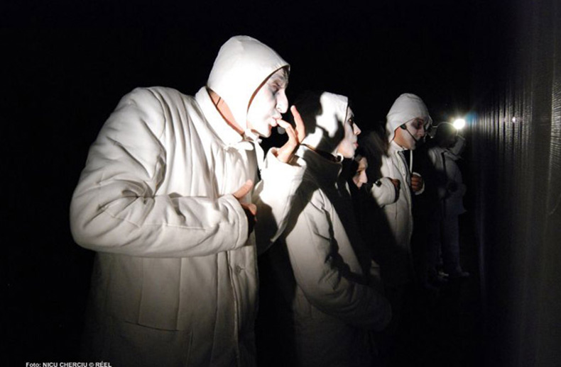 psihoza 448, 2008 - mihai maniutiu