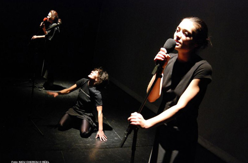 psihoza 448, 2008 - mihai maniutiu